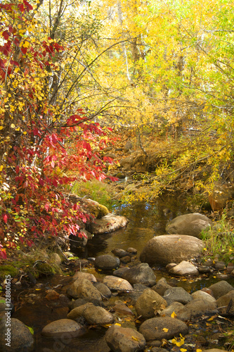 Fall Colors Stream © erikakirky