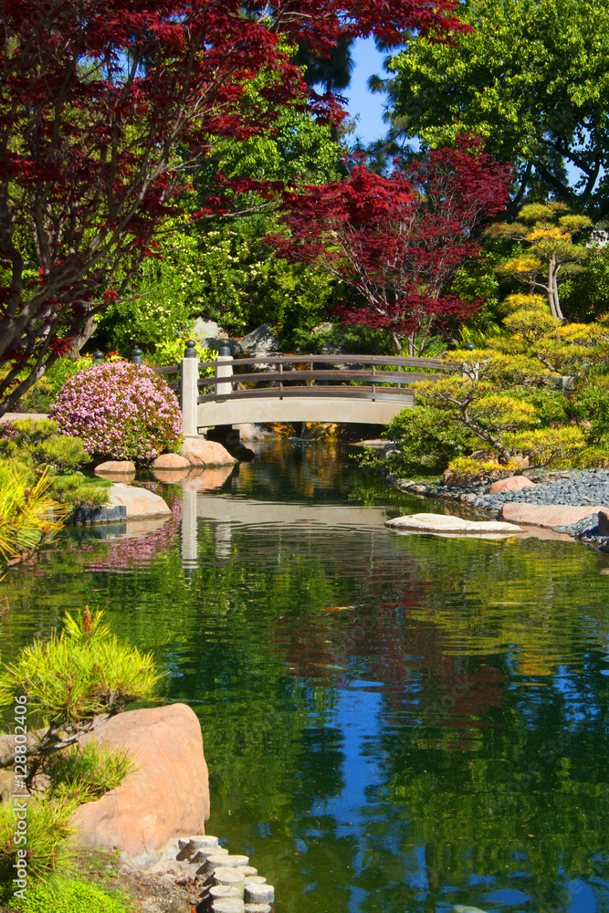 Fototapeta premium Japanese Garden