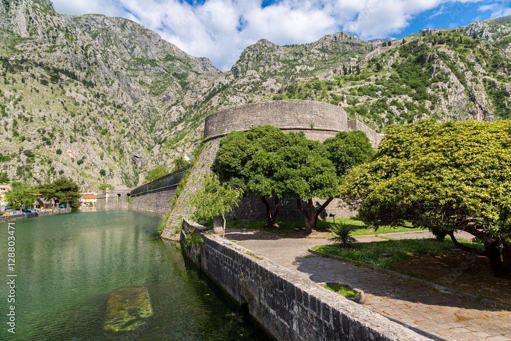 Fototapeta premium Old fortress in Kotor, Montenegro