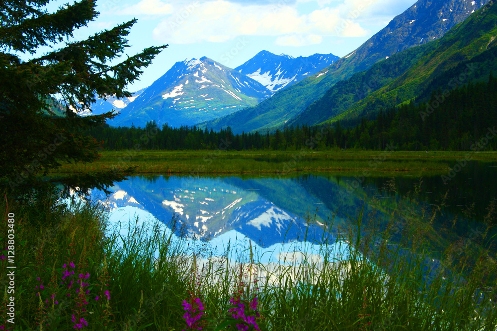 Obraz premium Lake Reflection