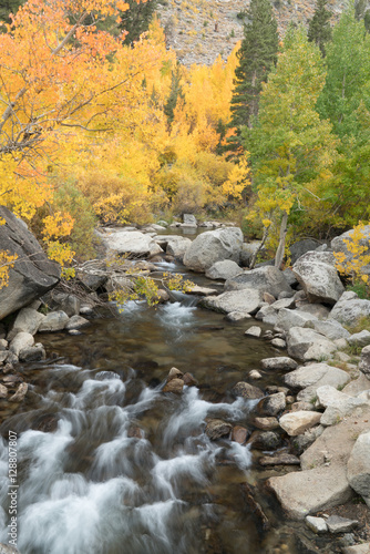 Eastern Sierra Fall Colors