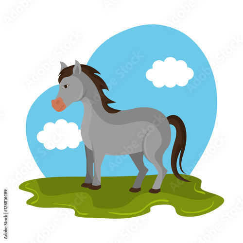horse animal farm in the field vector illustration design