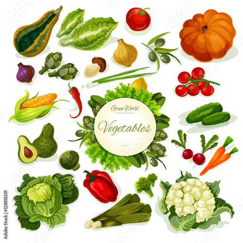 Fototapeta Naklejka Na Ścianę i Meble -  Vegetables vegan food vector poster