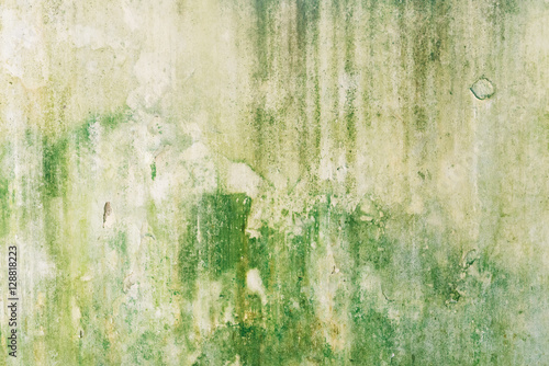 damp wall with green mold