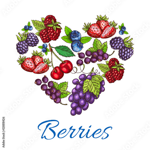 Heart shape of vector sketched berries