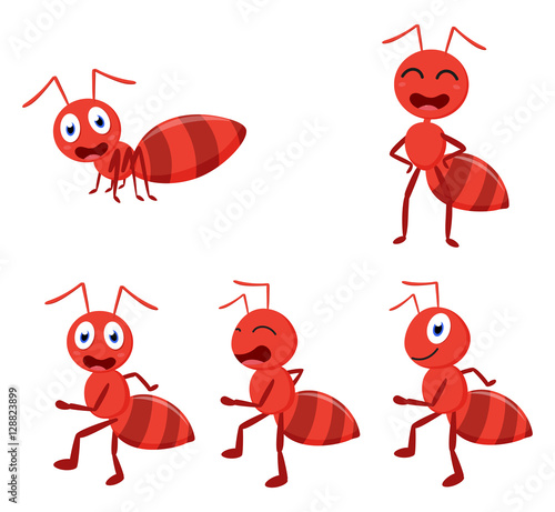 Cute ant cartoon cartoon collection set