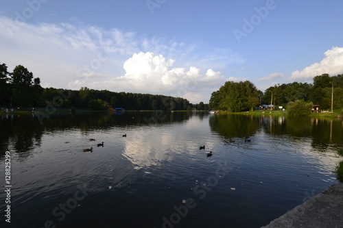 Озеро с утками в парке Кузьминки