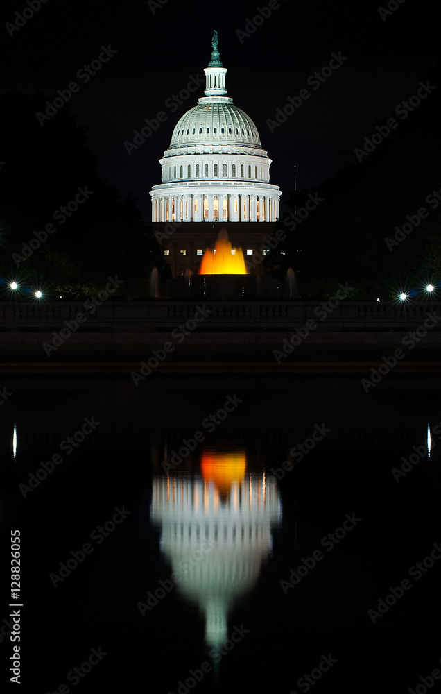 Fototapeta premium Capitolio - Washington DC