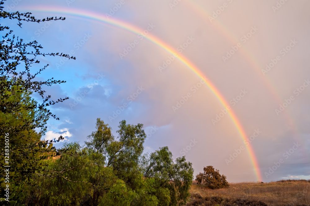 Naklejka premium Rainbows