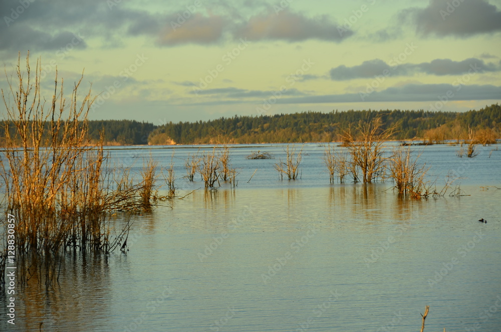 Nisqually Wildlife Refuge Nisqually Wildlife Refuge