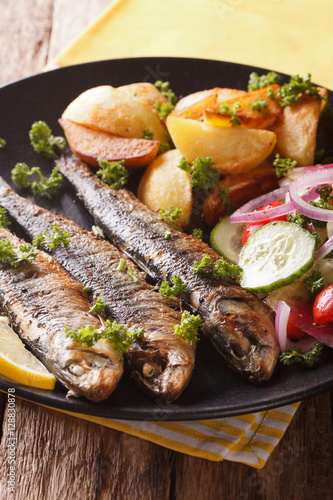 Grilled sardines with roasted potatoes and fresh vegetable salad close-up. vertical