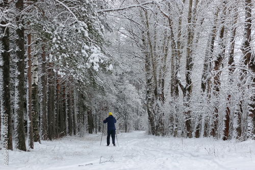 winter snow sport man run in tree park