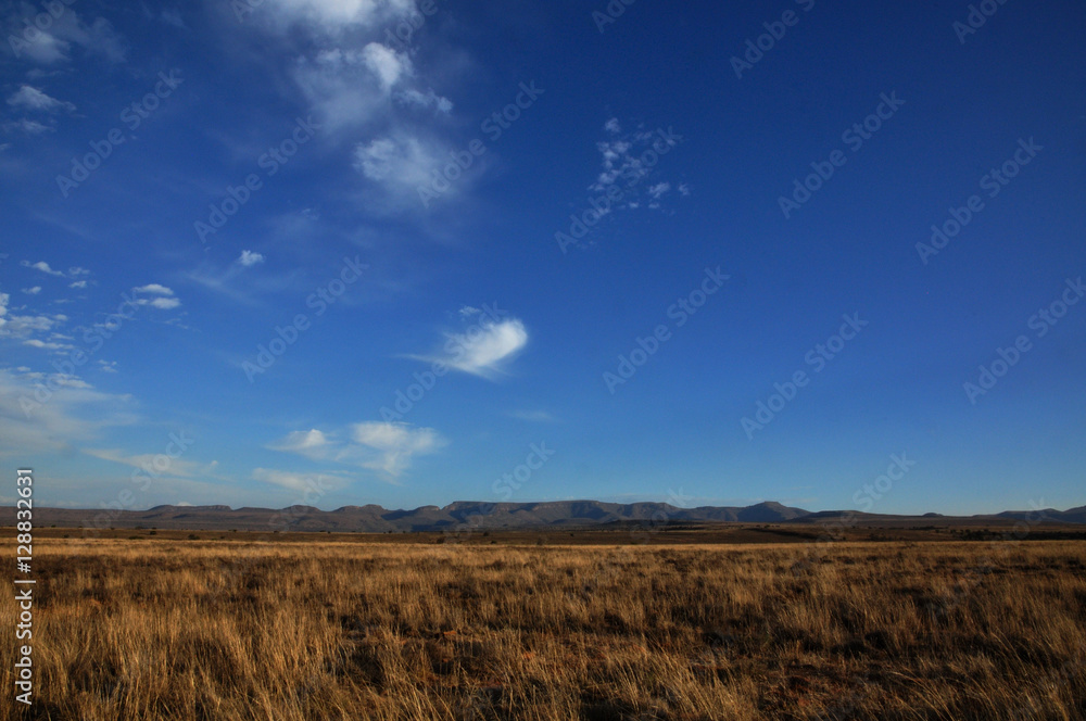 Mountain Zebra National Park