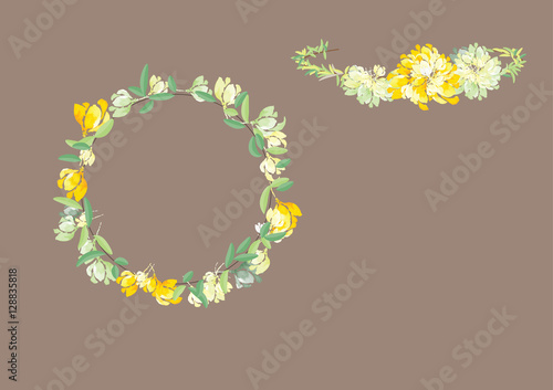 crown flowers set  side way and top isolated on white background,