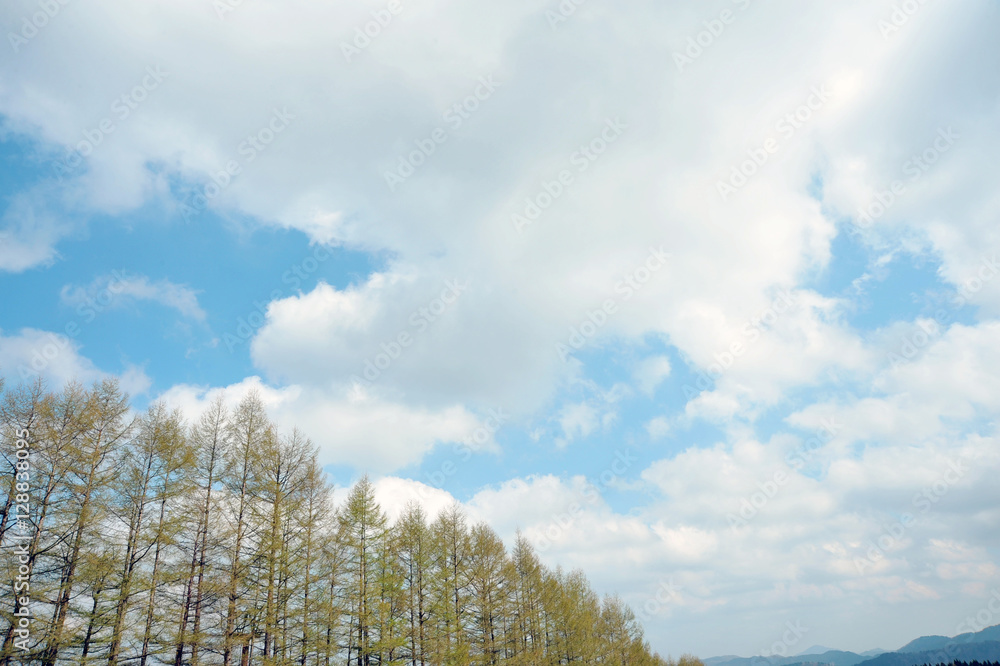 鉢伏高原 鉢伏高原