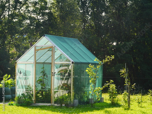 Valokuvatapetti little greenhouse