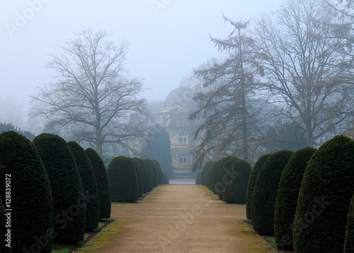 Parkfriedhof Ohlsdorf im Nebel