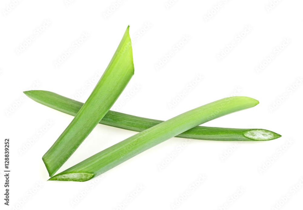 Fototapeta premium Green onion herb chopped isolated on white background