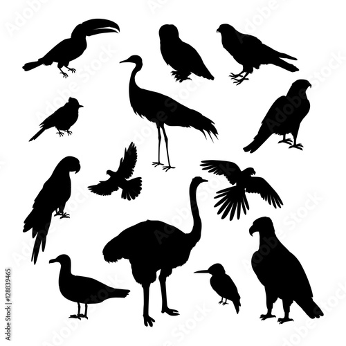 Set of Birds Silhouettes Vector Illustration