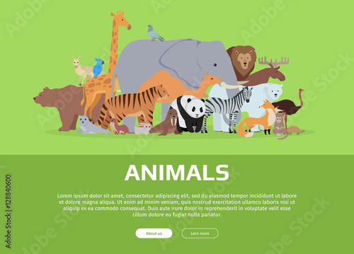 Animals Banner. Website Template