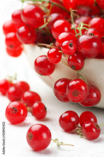 Red currants close-up