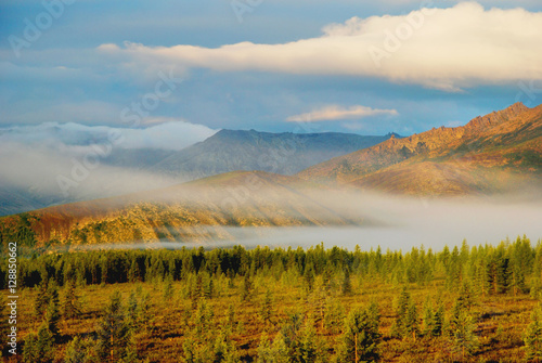 Туман над землёй. Красивая природа на Алтае. Чудесная картина: туман спускается с гор и стелется по земле.