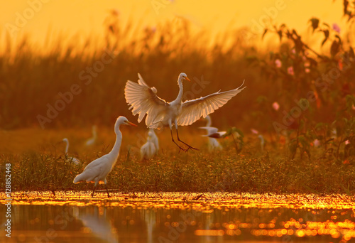 Colors of Nature photo