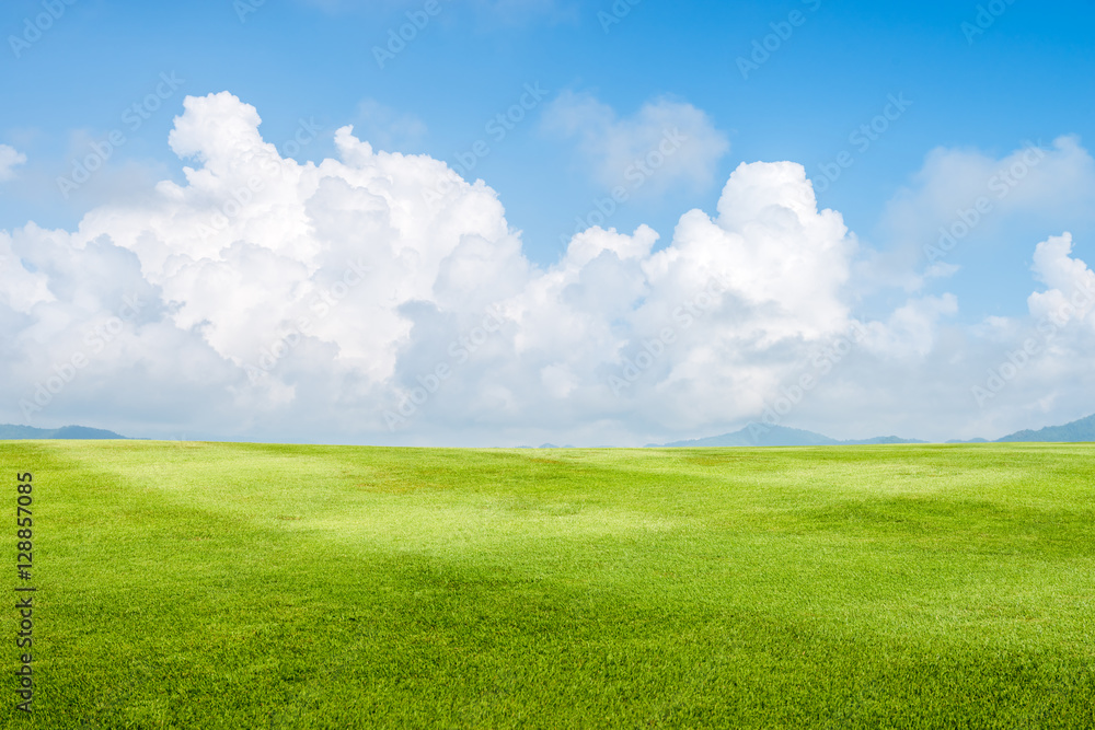 grass field background