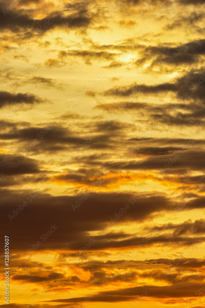  Orange colorful sunset sky.