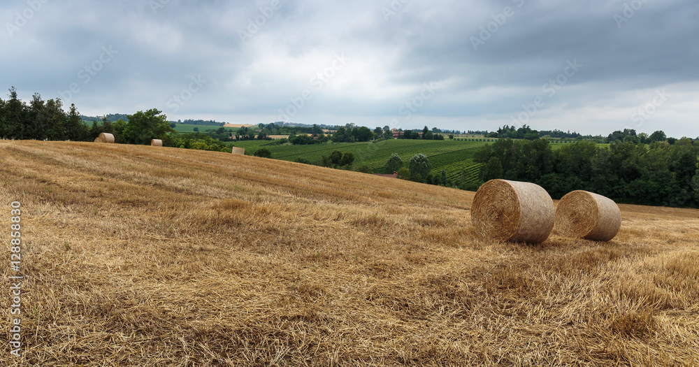 Agricultural field with straw bales after harvest