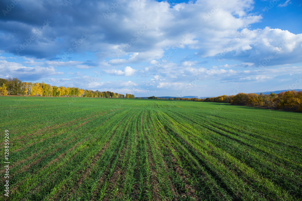 Agricultural field in Europe Agricultural field in Europe