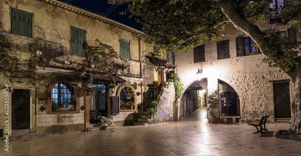 Square  in old town Peille at night,