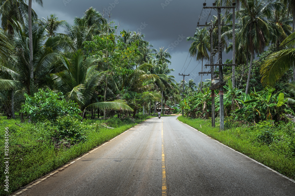 Fototapeta premium Highway in the tropics