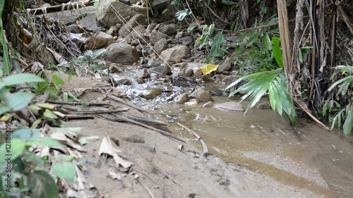Stream flowing