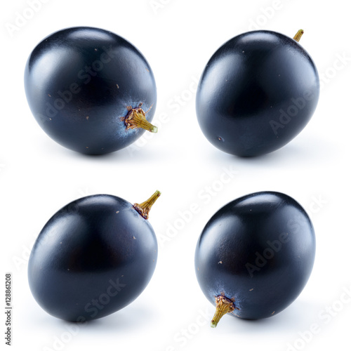 Dark blue grape isolated on white background. One berry. Collect