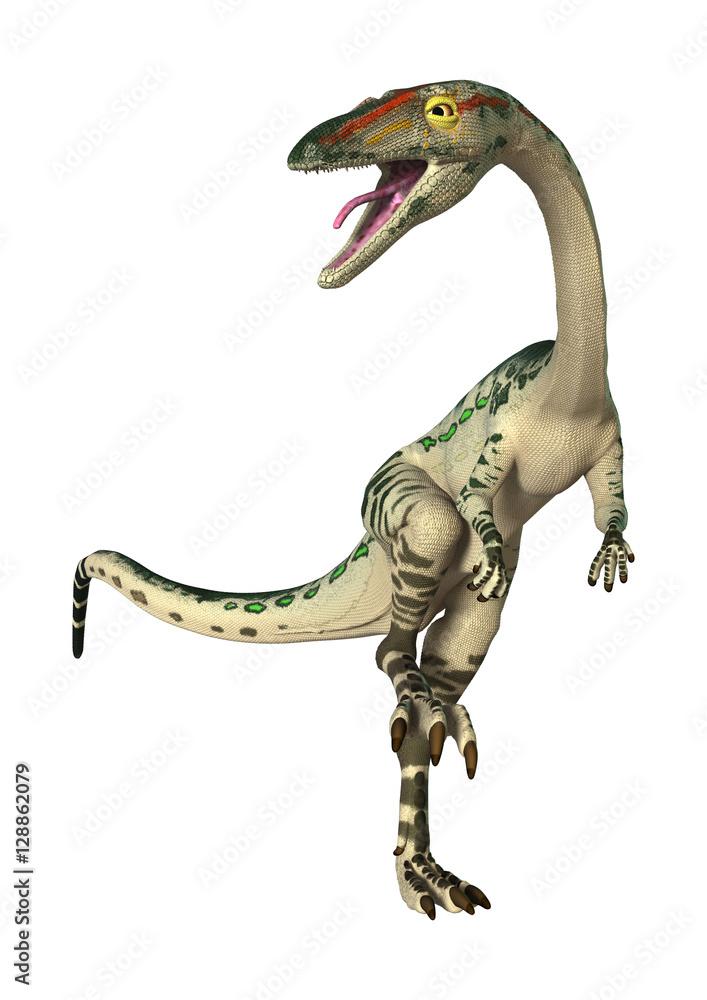 Fototapeta premium 3D Rendering Dinosaur Coelophysis on White