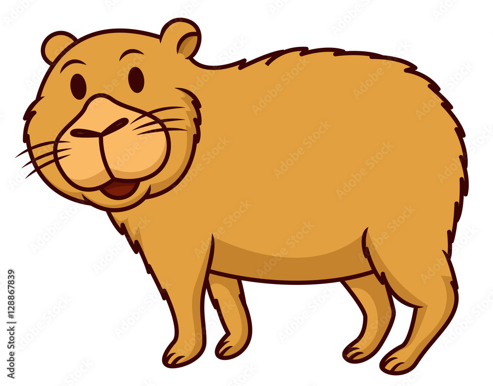 Capybara cartoon Stock Vector | Adobe Stock