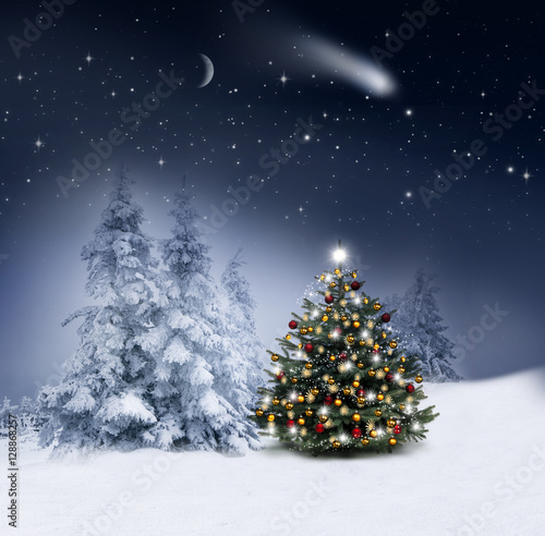 Wallpaper Mural Weihnachtsbaum in Winternacht Torontodigital.ca