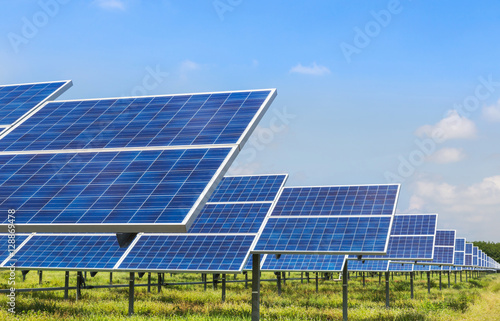 solar panels  photovoltaics in solar farm power station for alternative energy from the sun  photo