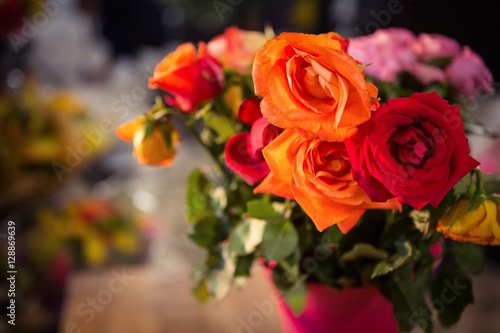 Close-up of orange and red roses