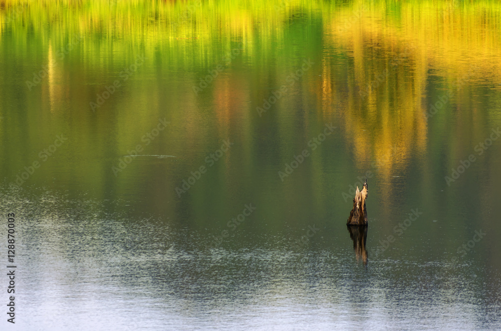 Water and reflection Water and reflection
