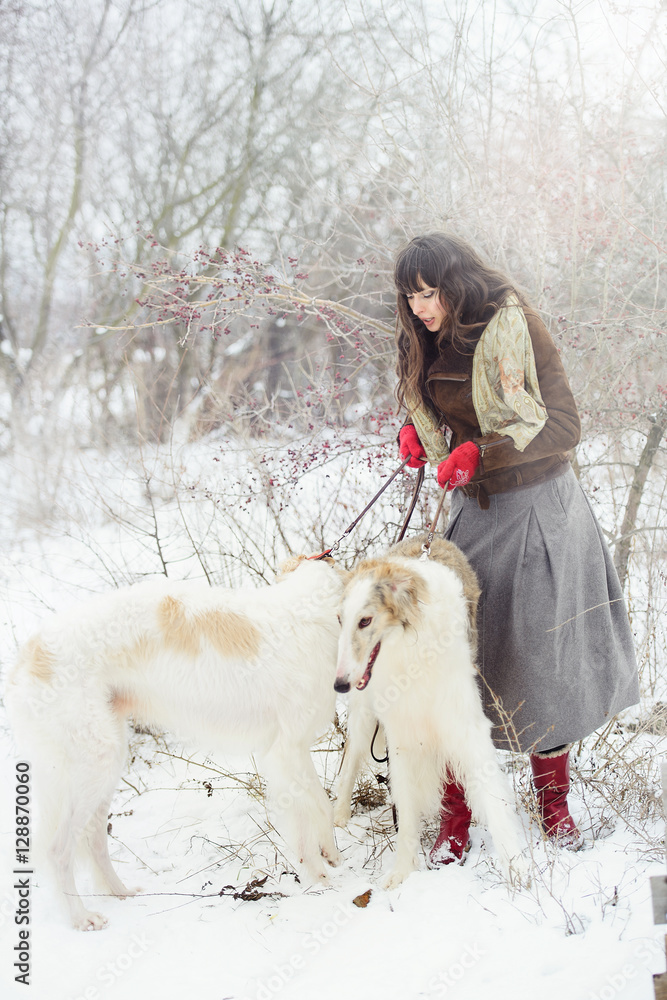 girl with two greyhounds in the winter, falling snow girl with two greyhounds in the winter, falling snow