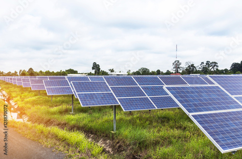 solar panels  photovoltaics in solar farm power station for alternative energy from the sun 