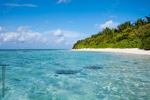 Tropical beach with blue water and palm trees, Thinadhoo island, Vaavu Atoll, Maldives
