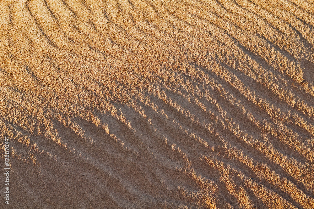 Texture of sand in dunes. Texture of sand in dunes.
