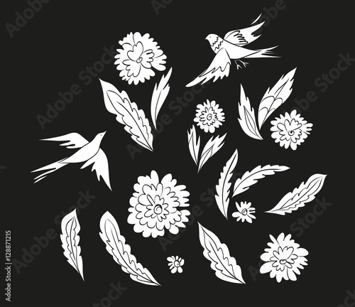 Set of fantasy flowers, leaves and beautiful birds. Monochrome floral design elements isolated. Vector illustration hand drawn. 
