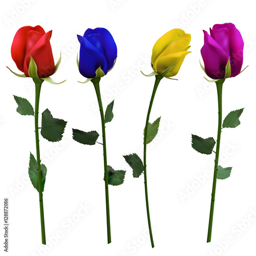 Set of four differently colored roses