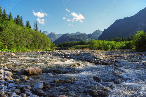 Mountain river in the valley. High Tatras. Slovakia