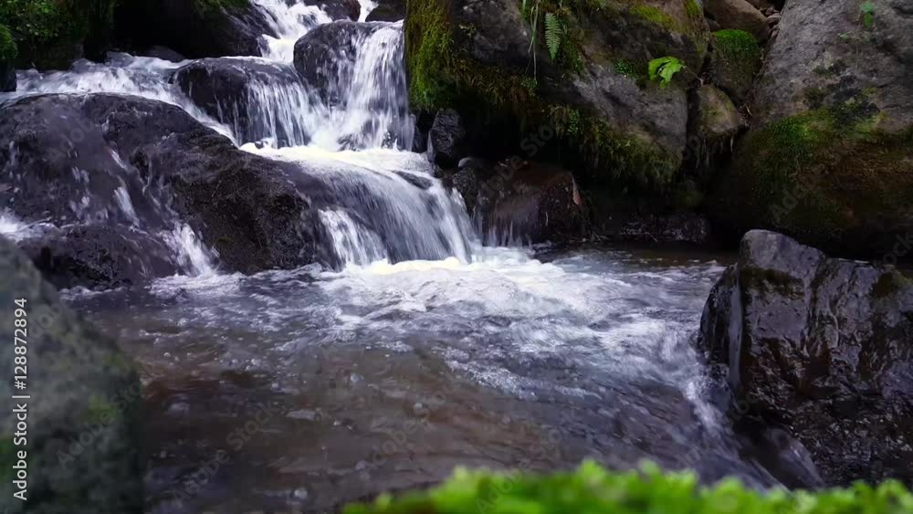 Forest river flowing over rocks in Georgia. Forest river flowing over rocks in Georgia.