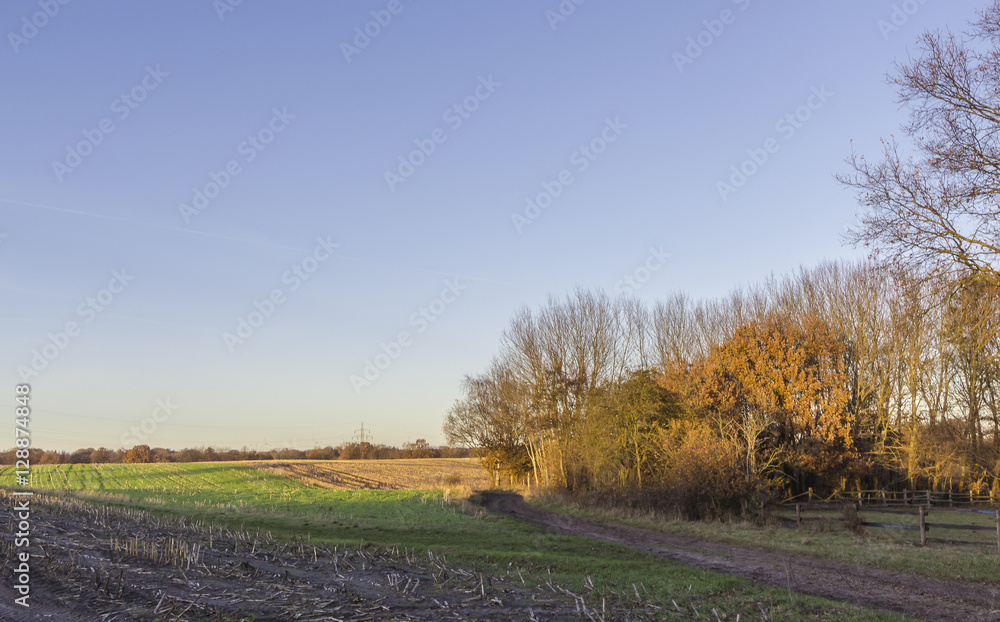 Naklejka premium Herbststimmung in Ritterhude